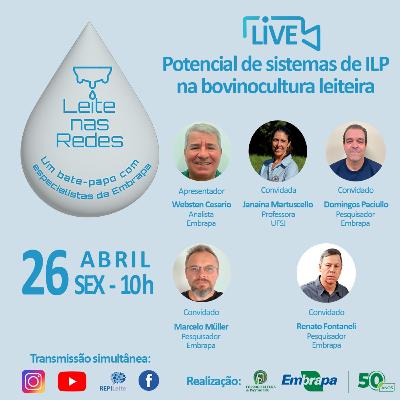 Leite nas Redes: Potencial de sistemas de ILP na bovinocultura leiteira