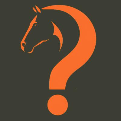 Equine Partnered Approaches: Coaching, Healing, and Training