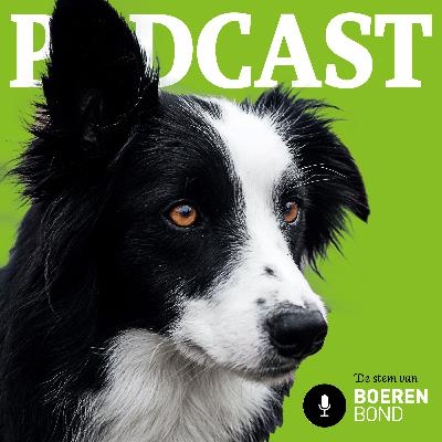 De stem van Boerenbond - Mentaal welzijn