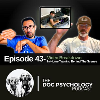 The Dog Psychology Podcast Episode #043 In-Home Training Behind The Scene