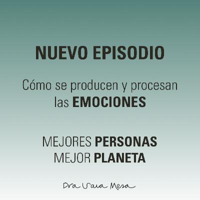 Cómo se producen y procesan las emociones