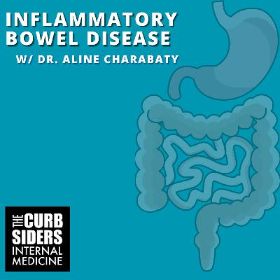 #502 Inflammatory Bowel Disease with Dr. Aline Charabaty