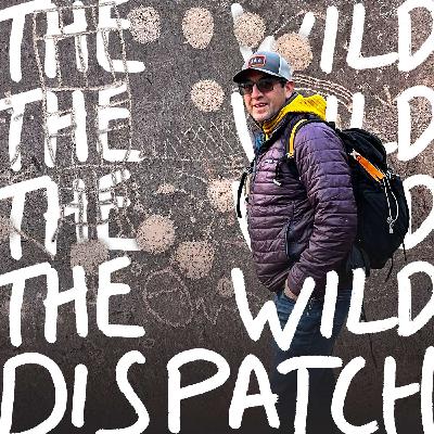 EP65: Hunting Answers From Our Ancestors ↣ Tony Fair (@guerilla_forager)
