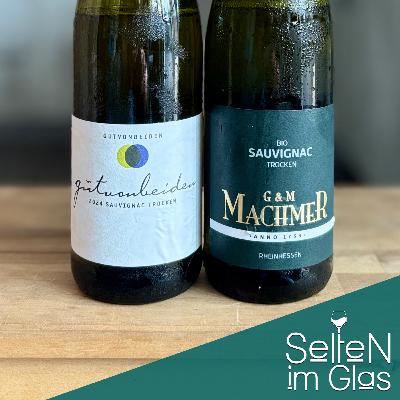 Folge 14: Sauvignac im Glas - PIWI, Power & Persönlichkeit Folge 14: Sauvignac im Glas - PIWI, Power & Persönlichkeit
