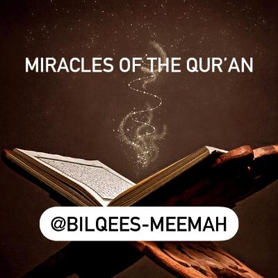 Miracles From The Qur’an