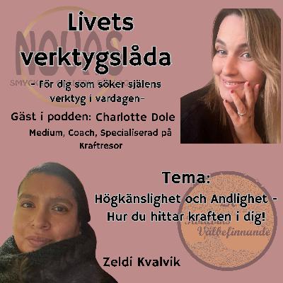 Högkänslighet och Andlighet - Hur du hittar kraften i dig - Charlotte Dole