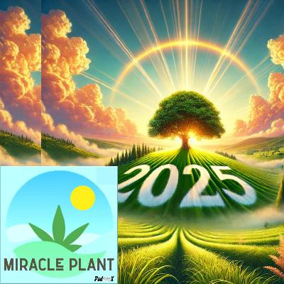 The Hope That 2025 Brings