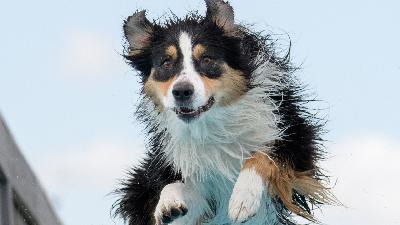 Jump in, The water's fine! Jump in, The water's fine!