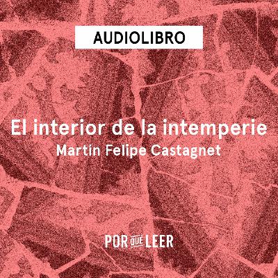 El interior de la intemperie - Martín Felipe Castagnet