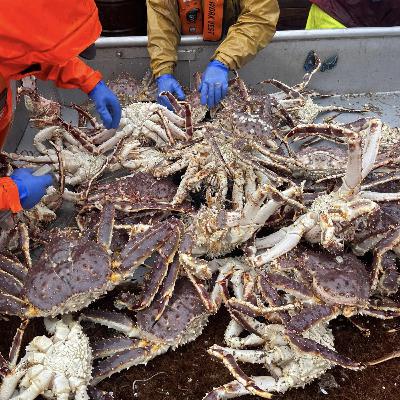 Alaska Fisheries Report 09 Oct 2025