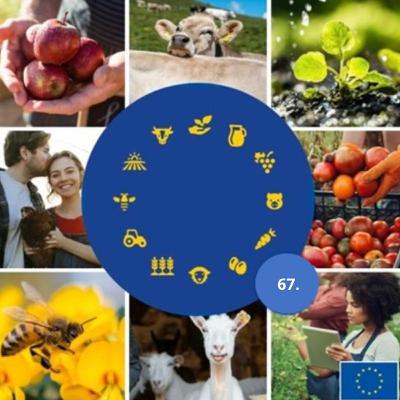 67. Visibiliser les femmes dans l’agriculture européenne