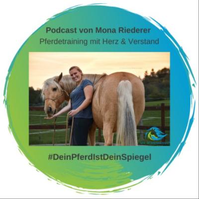 Was Du beim Pferdekauf beachten solltest mit Interview Gast Katrin🐴⭐📝 Was Du beim Pferdekauf beachten solltest mit Interview Gast Katrin🐴⭐📝