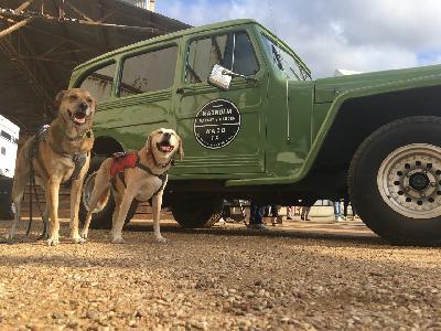 Pawcast Podcast Episode #40 Texas Pawcast Podcast Episode #40 Texas