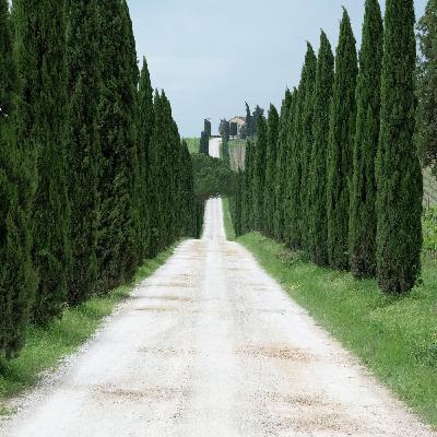 Características de un espíritu generoso Características de un espíritu generoso