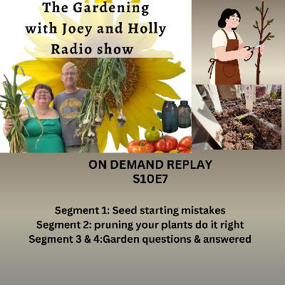 Episode 1532: S10E7  Seed starting mistakes, pruning your plants do it right, Garden questions & answered -  The Gardening with Joey and Holly Radio show Radio