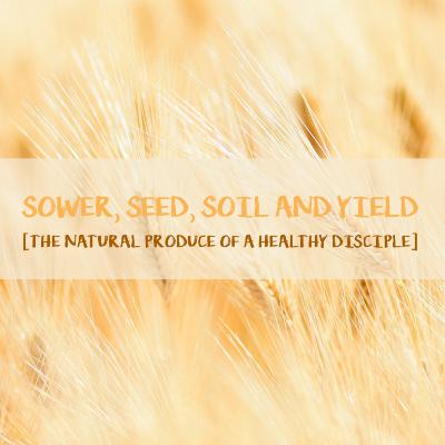 'Sower, Seed, Soil & Yield [The Natural Produce of a Healthy Disciple]'-Tom Workman-18th January 2026