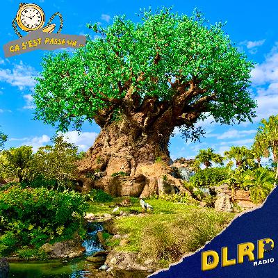 22 Avril 1998 : Ouverture de Disney's Animal Kingdom - Ca S'est Passé Un... Disney dans l'Histoire 22 Avril 1998 : Ouverture de Disney's Animal Kingdom - Ca S'est Passé Un... Disney dans l'Histoire