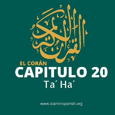 Capítulo 20 - Ta´Ha´