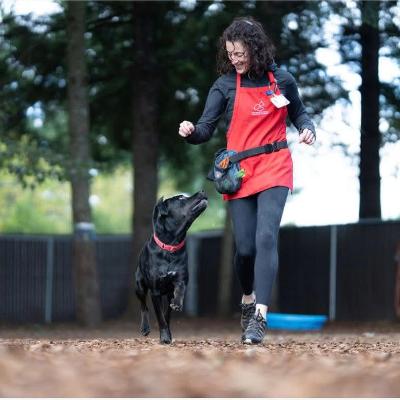 Big Feelings, Big Hearts: Understanding Your Rescue Dog - with Jen Rideout. Part One Big Feelings, Big Hearts: Understanding Your Rescue Dog - with Jen Rideout. Part One