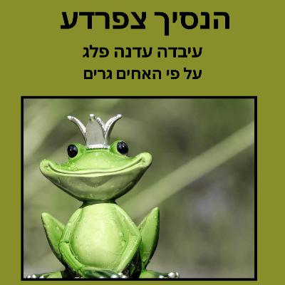 נסיך צפרדע נסיך צפרדע