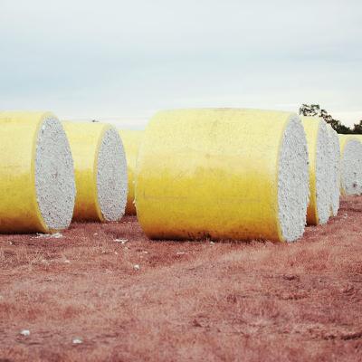 New digital cotton tracing platform hopes to safeguard the industry