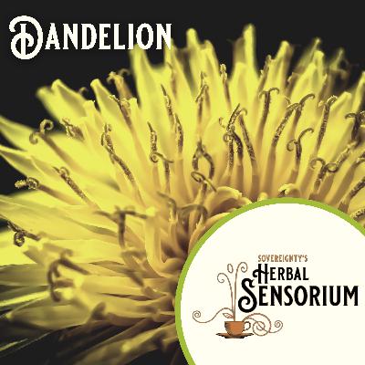 3 pillars of Clinical Herbal Practice and a Dandelion talisman