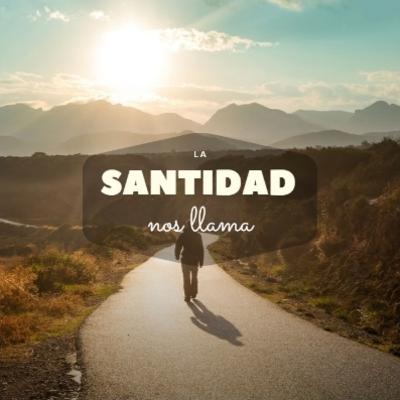 ✧ . Introducción