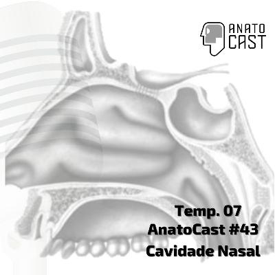 AnatoCast #43 - Sist. Respiratório - Cavidade Nasal AnatoCast #43 - Sist. Respiratório - Cavidade Nasal
