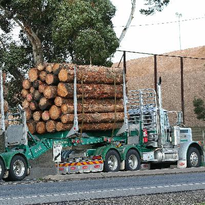 Episode 21 - Re-imagining the log and woodchip export supply chain for improved efficiencies Episode 21 - Re-imagining the log and woodchip export supply chain for improved efficiencies