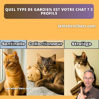 VOTRE CHAT EST-IL UN GARDIEN ? LE TEST