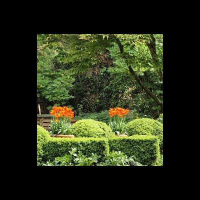 Planning for Spring Colour