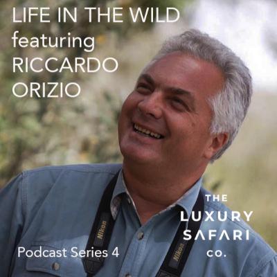 RICCARDO ORIZIO - Life In The Wild