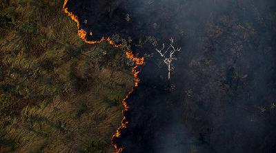 Destruição da Amazônia