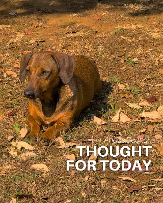 The Ten Commandments