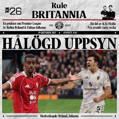 #263 Hålögd uppsyn