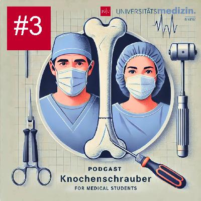 Start ins Berufsleben