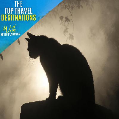 Football chats, the stray cats, falling in love & studying at the Cini Library - Kev's Travel Stories