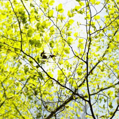 leaving yesterday behind leaving yesterday behind