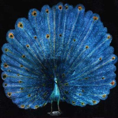 La transmission. Etat et religions, être et avoir