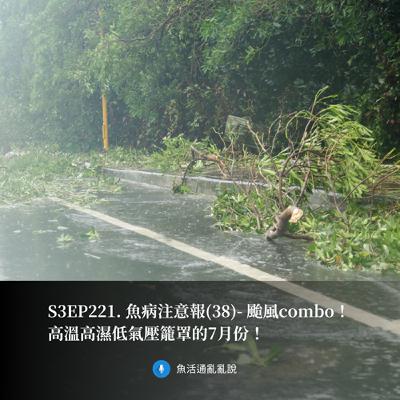 S3EP221. 魚病注意報(38)- 颱風combo！高溫高濕低氣壓籠罩的7月份！