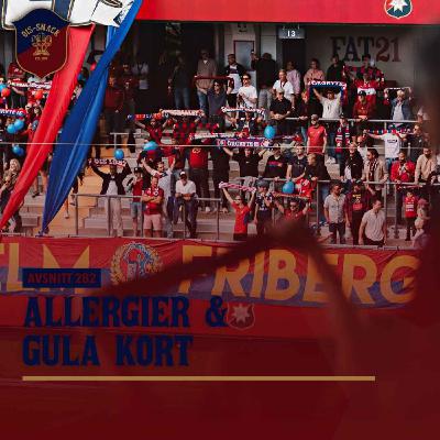 282. Allergier & gula kort