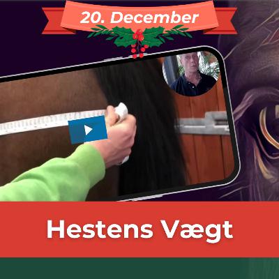 HESTENS VÆGT (20. dec) Sådan sikrer du dig at hestens medicinering er korrekt og opdager, hvis hesten ændrer vægt
