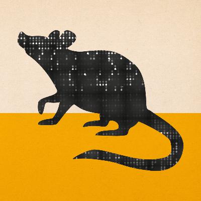 A Shift from Animal Testing