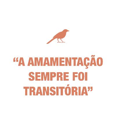 28 - Introdução Alimentar e Amamentação