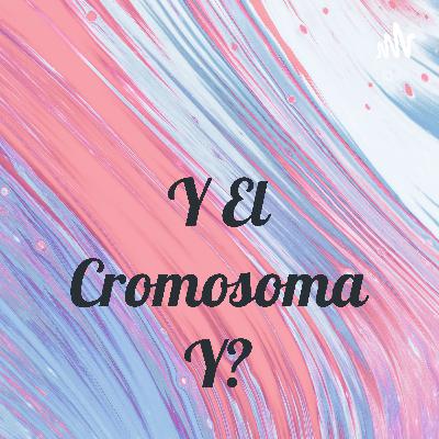Y el cromosoma Y? Parte 1