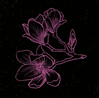 ep. 04 | magnolia