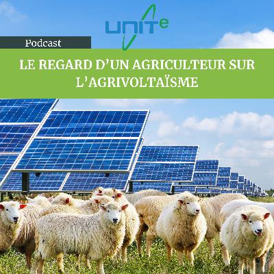 Le regard d’un agriculteur sur l’agrivoltaïsme