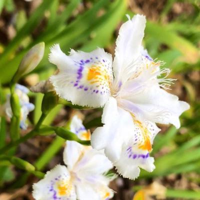 アウトプットのコツを３つ紹介します