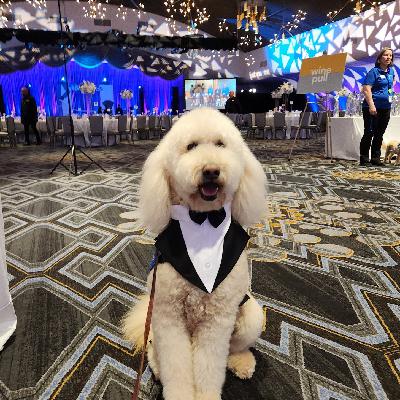 2025 Duo Dogs Gala Interviews