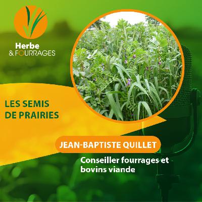 HERBE ET FOURRAGES - Les semis de prairies